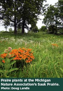 Prairie plants at the Michigan Nature Association's Sauk Prairie. Photo: Doug Landis